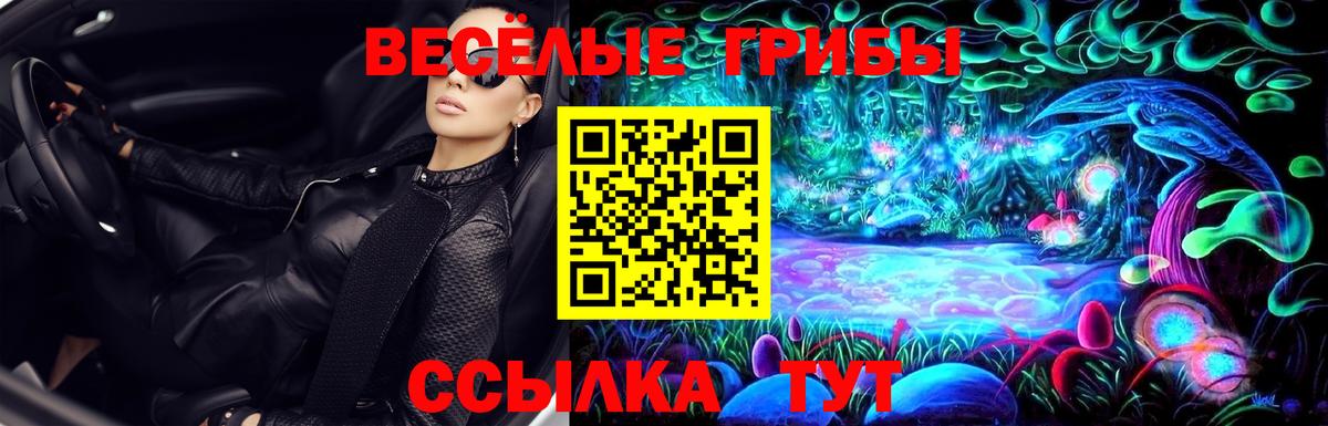 Галлюциногенные грибы ЛСД  Псилоцибиновые грибы MAGIC MUSHROOMS  Вход с VPN  Самара 