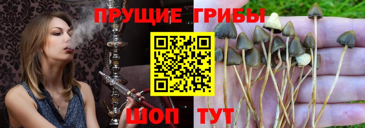 Галлюциногенные грибы Magic Shrooms Самара